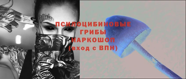 мдпв Беломорск