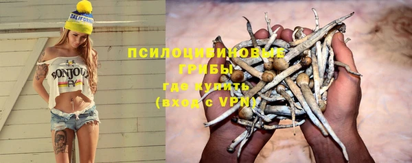 мдпв Беломорск