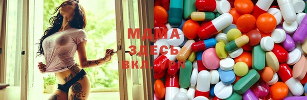 прущие грибы Бронницы