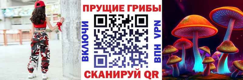 Псилоцибиновые грибы прущие грибы Горячий Ключ