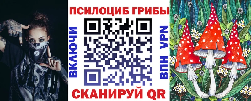 где найти   даркнет как зайти  Галлюциногенные грибы Psilocybine cubensis  Горячий Ключ 