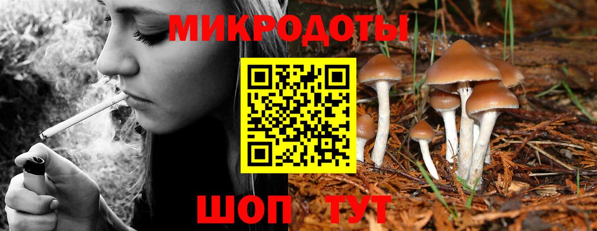Псилоцибиновые грибы ЛСД Горячий Ключ