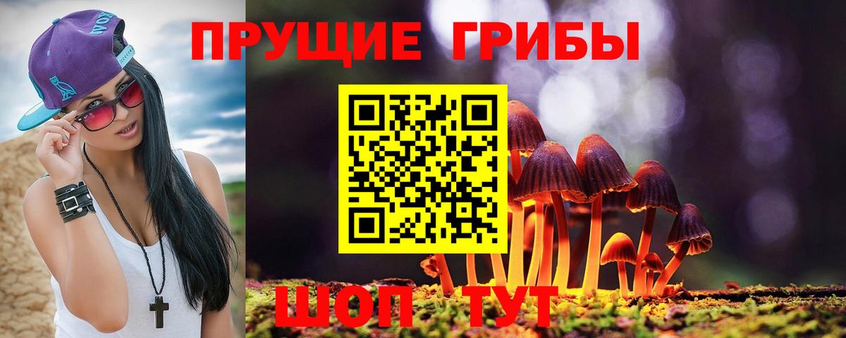 Горячий Ключ  Псилоцибиновые грибы Cubensis  Галлюциногенные грибы Psilocybine cubensis  как найти закладки  Вход с VPN 